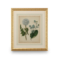 Chelsea House Cottage Florals III