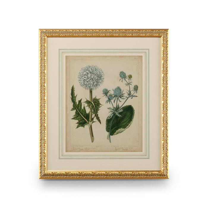 Chelsea House Cottage Florals III