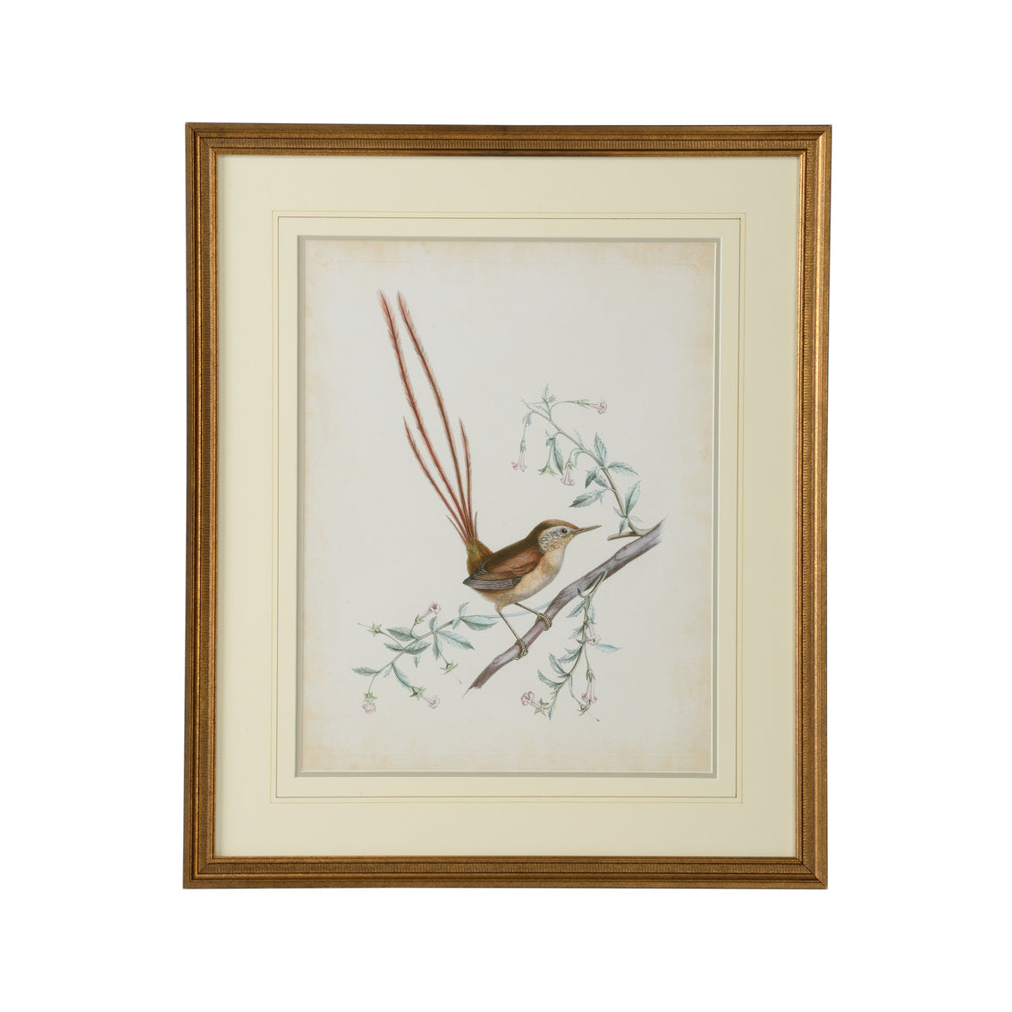 Chelsea House Delicate Birds I