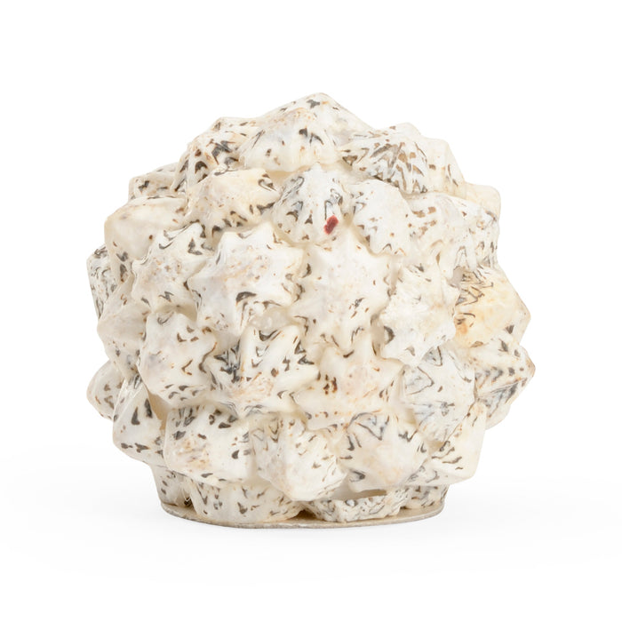 Chelsea House Shell Ball (Sm)