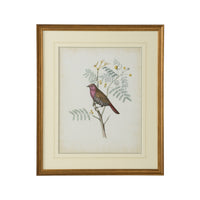 Chelsea House Delicate Birds II