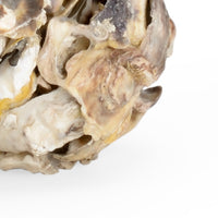Chelsea House Oyster Shell Candleholder (Pr)