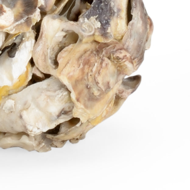 Chelsea House Oyster Shell Candleholder (Pr)