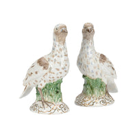 Chelsea House Terns (Pr)