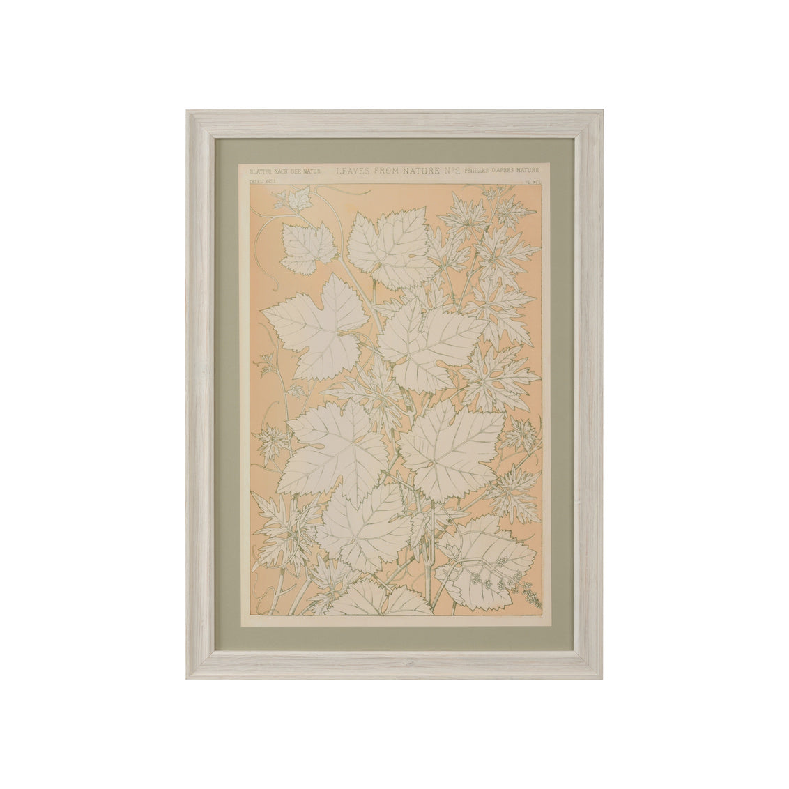 Chelsea House Leaves From Nature No.2