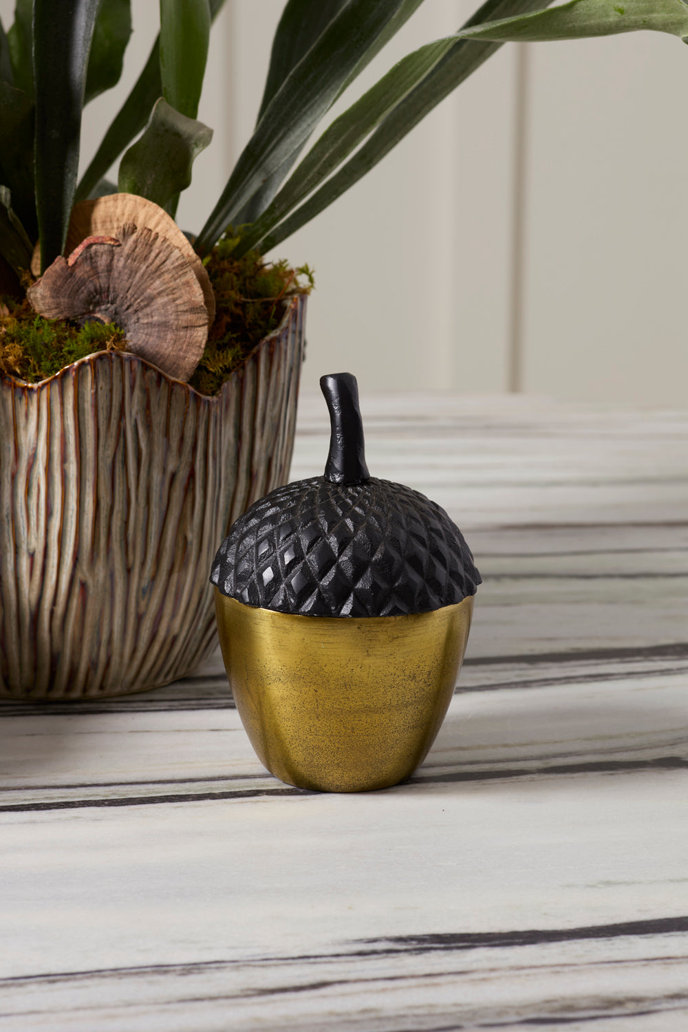 Design Shop Acorn Stash Lidded Box 5"x 7.25"
