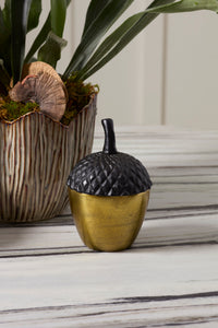 Design Shop Acorn Stash Lidded Box 5"x 7.25"