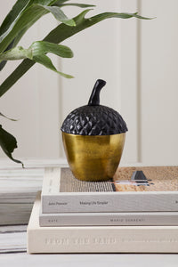 Design Shop Acorn Stash Lidded Box 5"x 7.25"