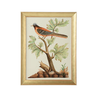 Chelsea House Watercolor Birds F