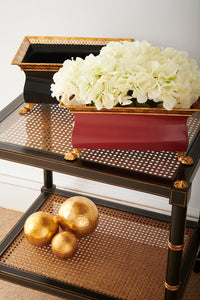 Chelsea House Conner Cane End Table