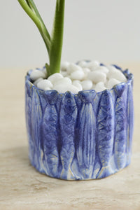 Design Shop Amalfi Pot 6"x 5"
