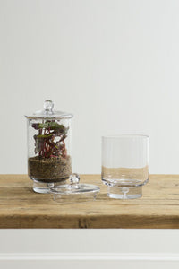 Design Shop Asteridge Terrarium 6.75"x 12"