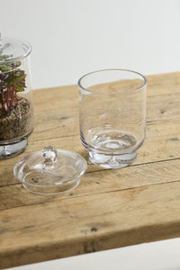 Design Shop Asteridge Terrarium 6.75"x 10"