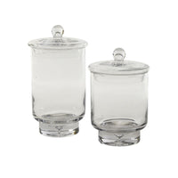Design Shop Asteridge Terrarium 6.75"x 10"