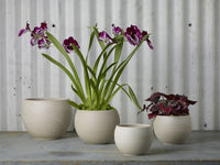 Design Shop Astrid Pot 7.75"x 6"