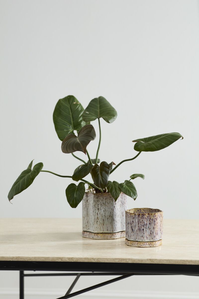 Design Shop Avenell Pot with Saucer 5.5"x 5.5"