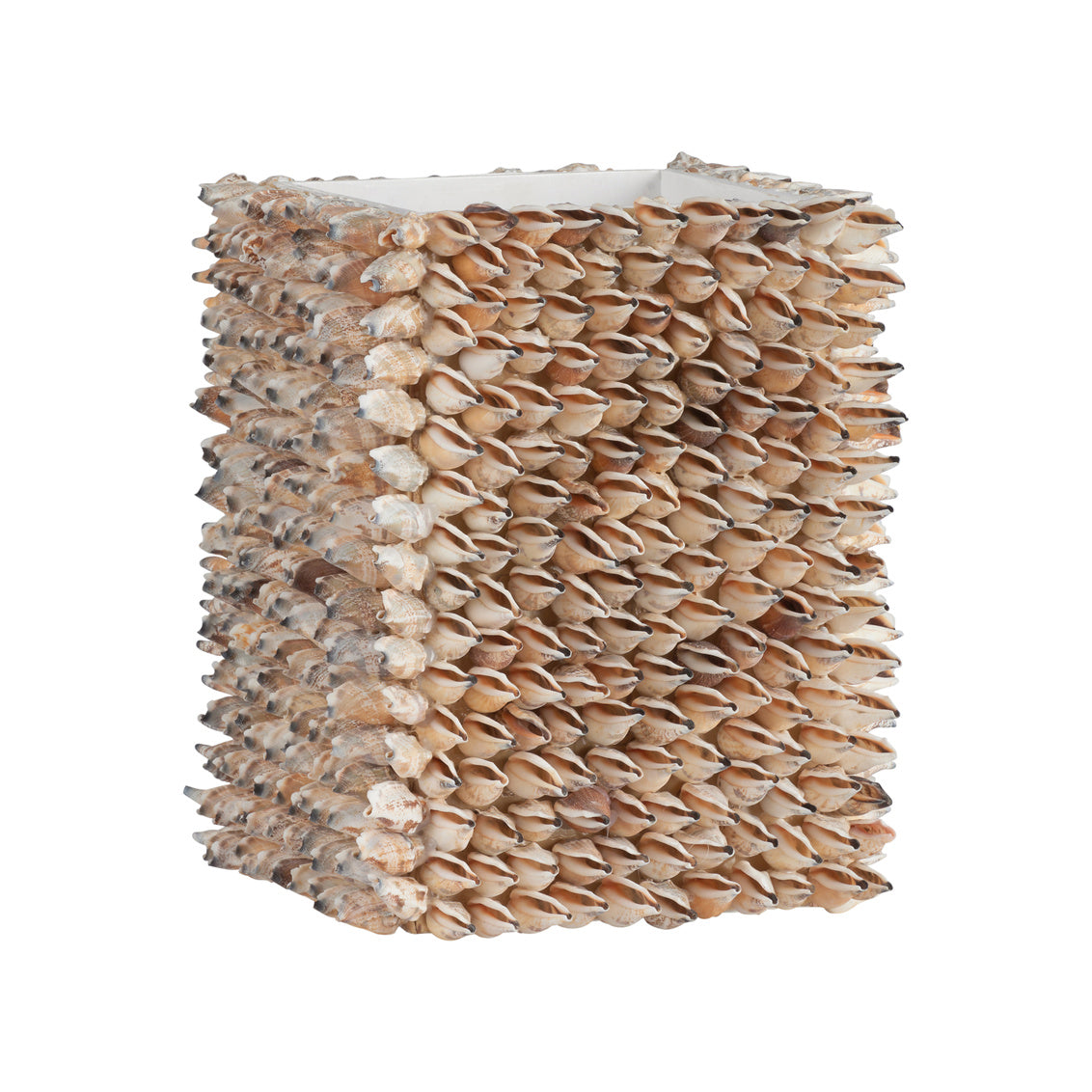 Chelsea Shell Chelsea House Shell Planter – Design Shop By Shell