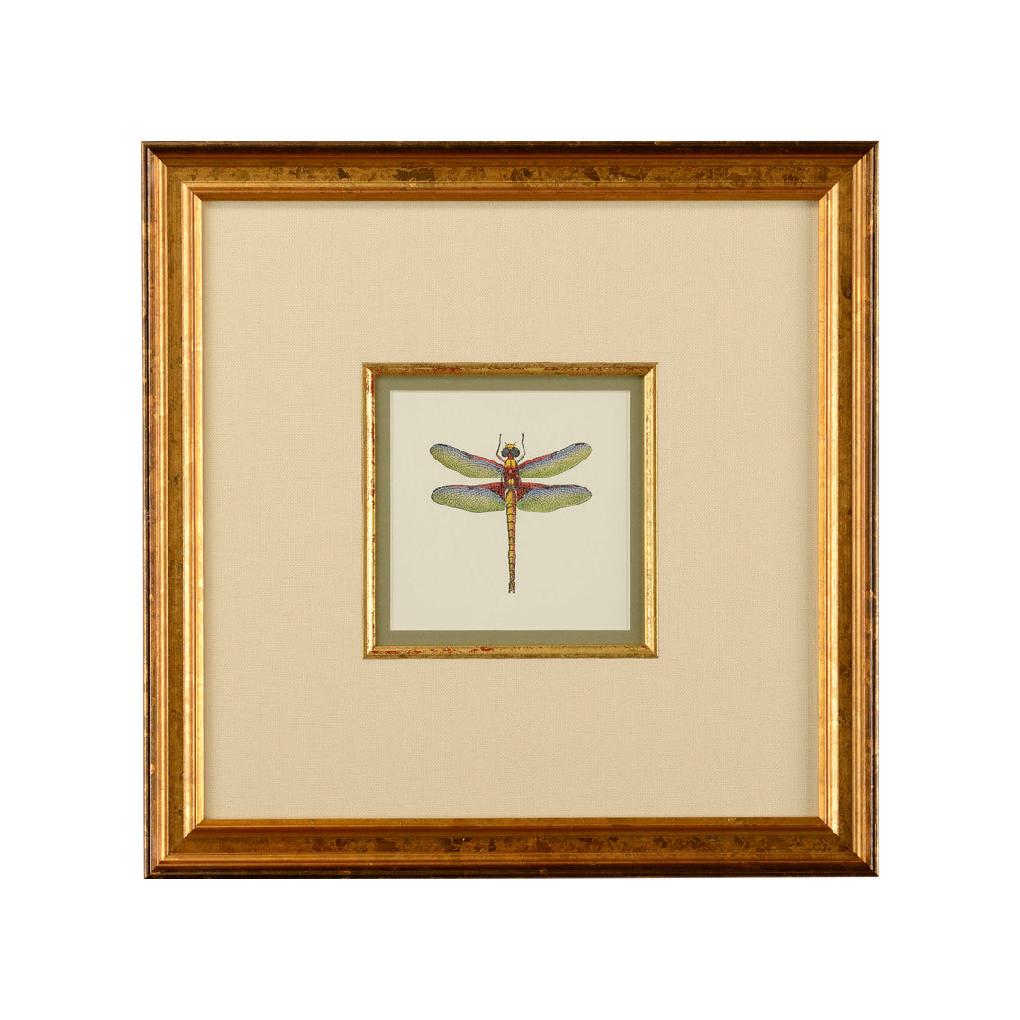 Chelsea House Miniature Dragonfly IV