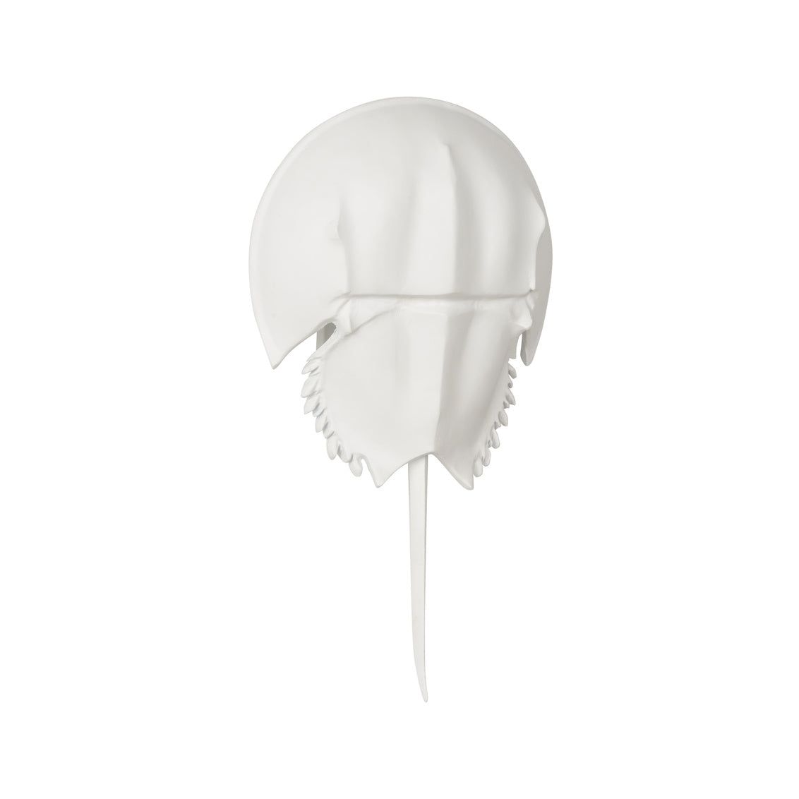 Chelsea House Horseshoe Crab Sconce - White