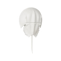 Chelsea House Horseshoe Crab Sconce - White