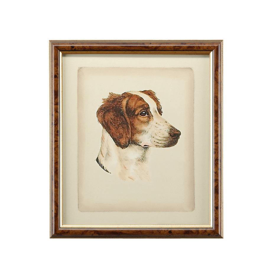 Chelsea House Danchin Pointer