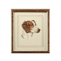 Chelsea House Danchin Pointer