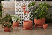 Design Shop Baden Pot with Saucer 7.25"x 6.75"