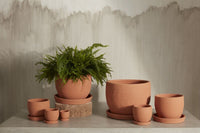Design Shop Baden Pot with Saucer 7.25"x 6.75"