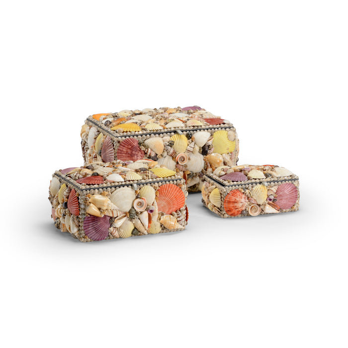 Chelsea House Shell Boxes (S3)