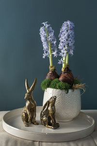 Design Shop Bea Bunny 3.75"x 2.25"x 7"