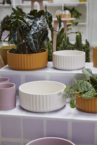 Design Shop Beam Bowl 10"x 4"