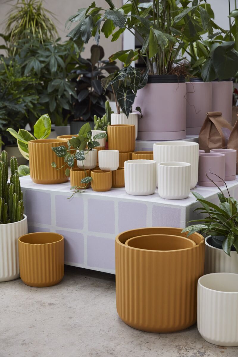Design Shop Beam Pot 3.25"x 2.75", Set of 6