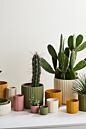 Design Shop Beam Pot 4.75"x 4.5", Set of 4