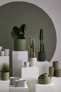 Design Shop Beam Pot 3.25"x 2.75", Set of 6