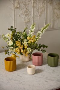Design Shop Beam Pot 3.25"x 2.75", Set of 6