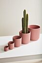 Design Shop Beam Pot 7"x 6.75"