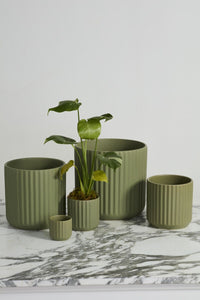 Design Shop Beam Pot 4.75"x 4.5", Set of 4