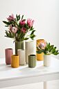 Design Shop Beam Vase 4"x 6", Set of 4