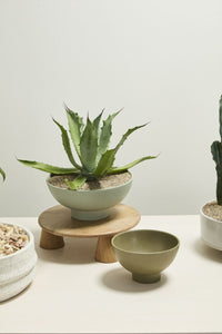 Design Shop Beltline Bowl with Saucer 13"x 6"