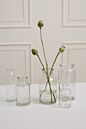 Design Shop Billie Bottle 4"x 8"