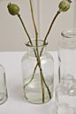 Design Shop Billie Bottle 4"x 8"