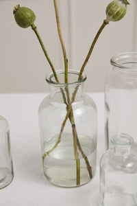 Design Shop Billie Bottle 3.25"x 6.25"