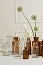 Design Shop Billie Bottle 4"x 8"