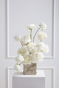 Design Shop Birch Square Pot 4.75"x 4.75"