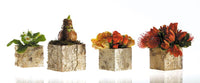 Design Shop Birch Square Pot 4.75"x 4.75"