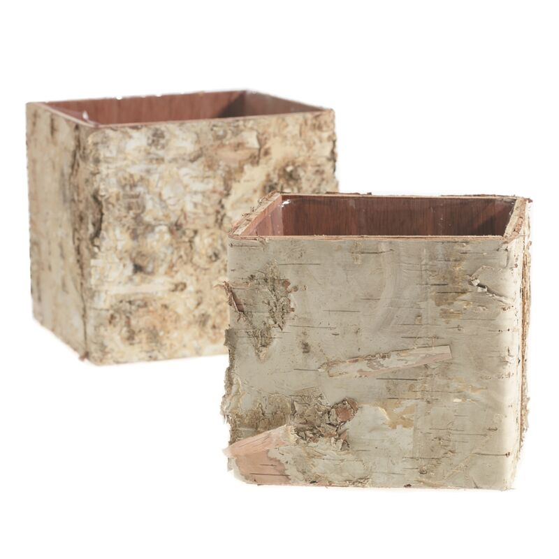 Design Shop Birch Square Pot 4.75"x 4.75"