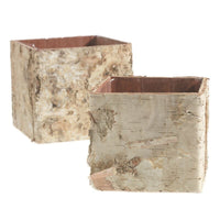 Design Shop Birch Square Pot 4.75"x 4.75"