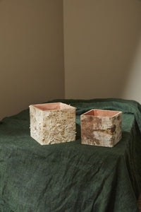 Design Shop Birch Square Pot 5.5"x 5.5"