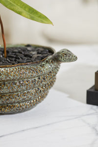 Design Shop Boa Bowl 13.25"x 10.5"x 6.5"