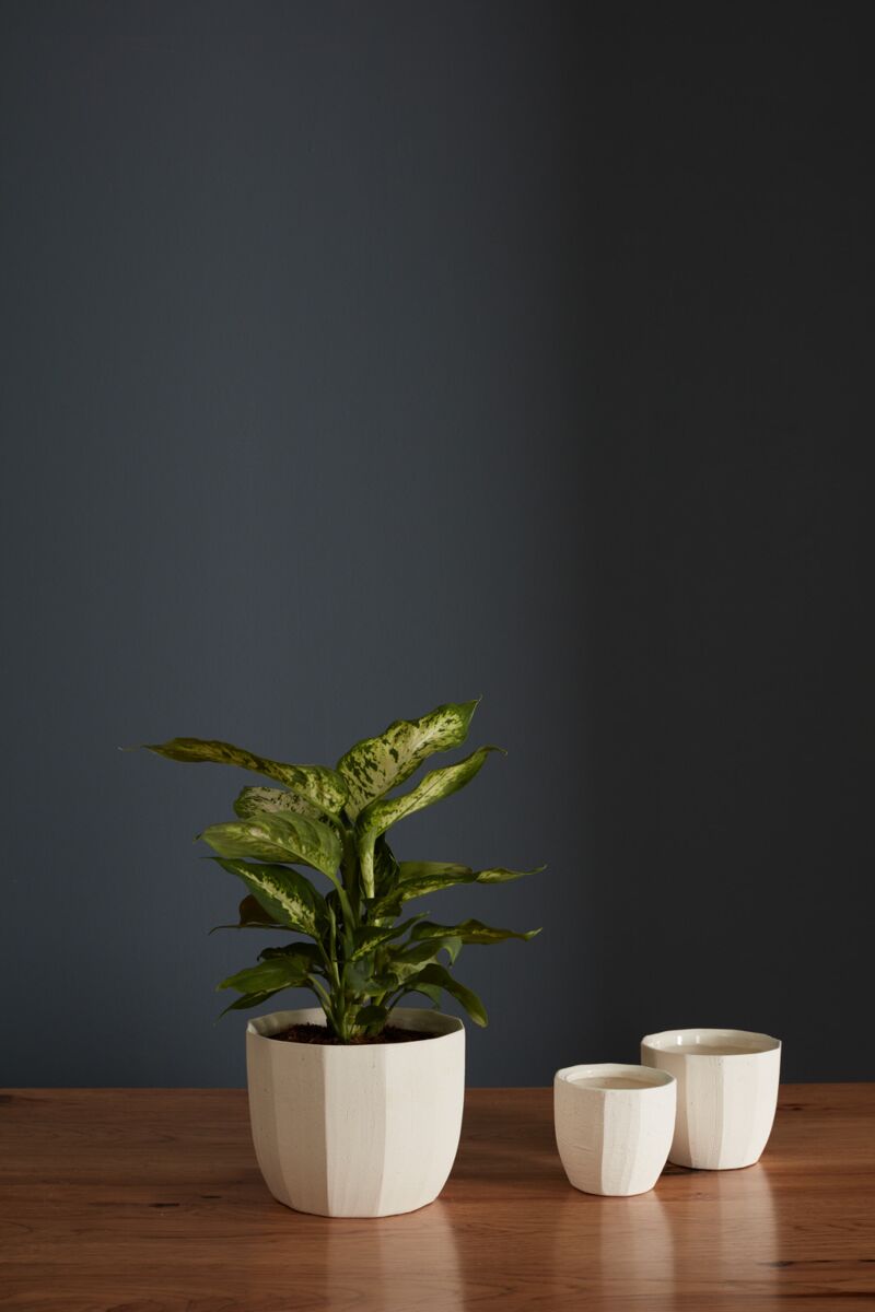 Design Shop Bona Pot 5"x 4.5", Set of 2
